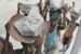 Child laborers would not exist if it were not for the many more millions of willing exploiters. (Photo: Via Asia Society)