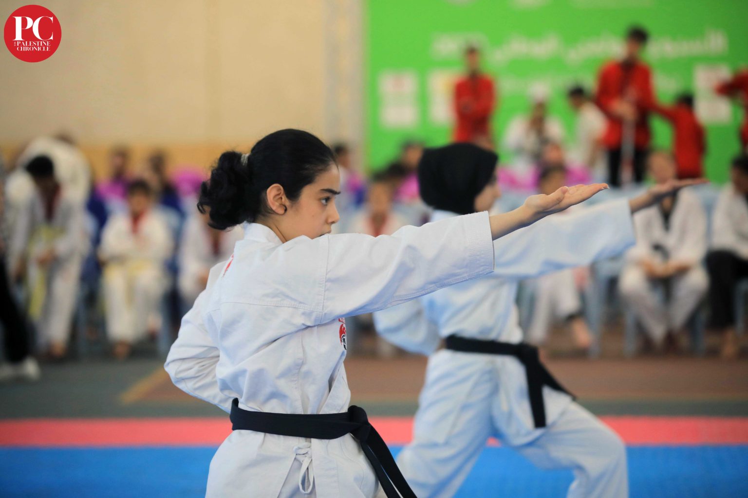 IN PHOTOS Palestine Olympic Week Palestine Chronicle